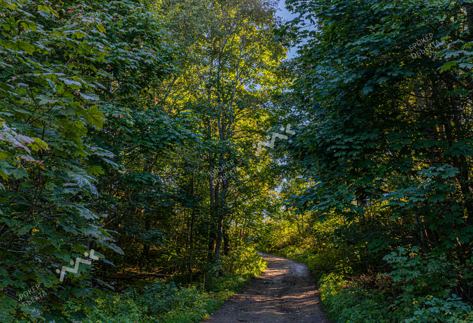 Фото объекта