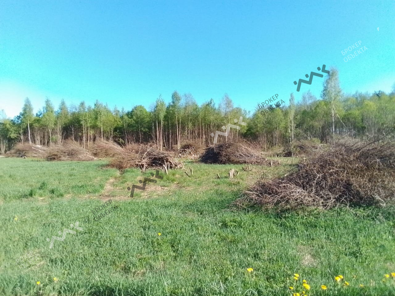 Фото объекта